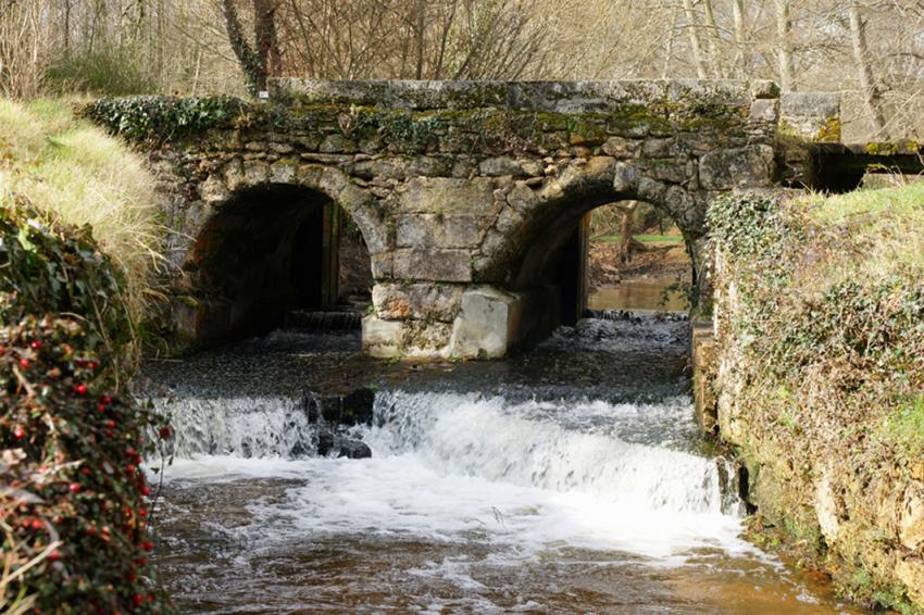 Sur les pas de Franois Mauriac