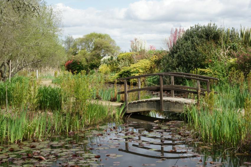 Le lac d'Aureilhan au printemps