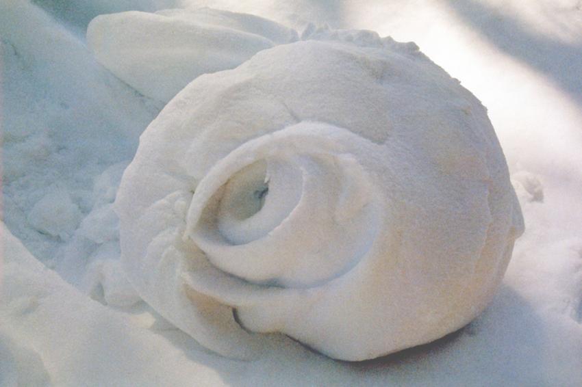 Neige  Azet (Hautes-Pyrnes)