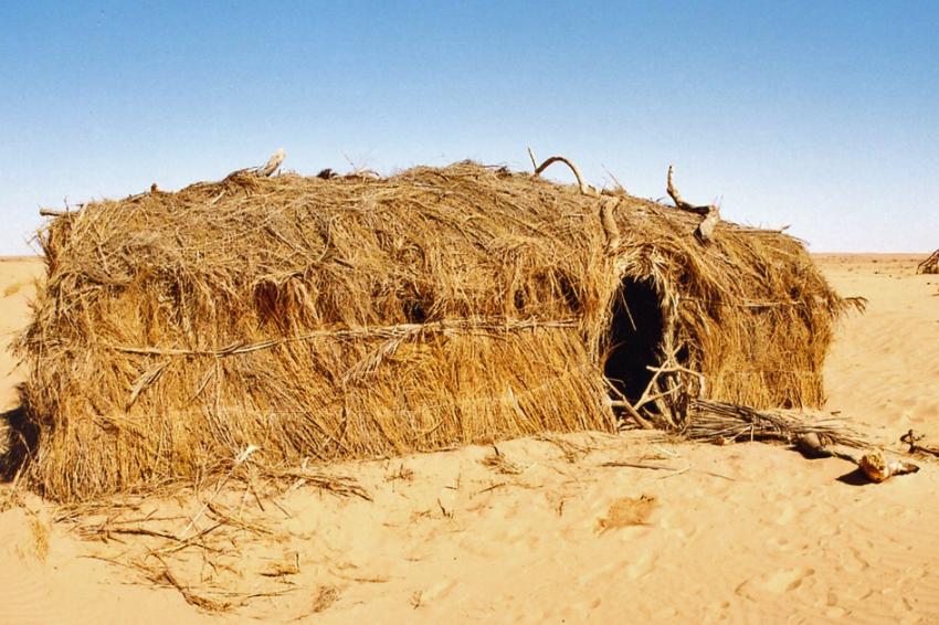 Sur les traces de Thodore Monod (Mauritanie)