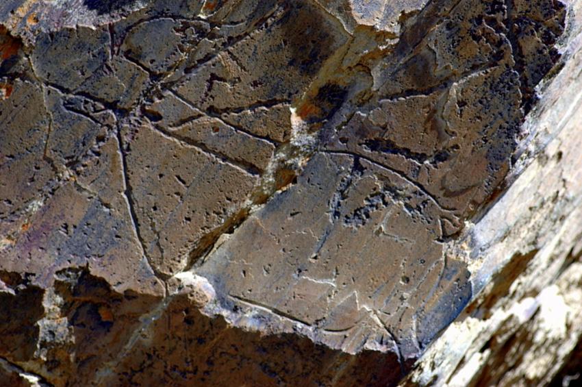 Le Tour du Portugal en 21 jours  (Page18)