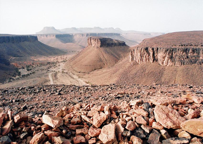 Sur les traces de Thodore Monod