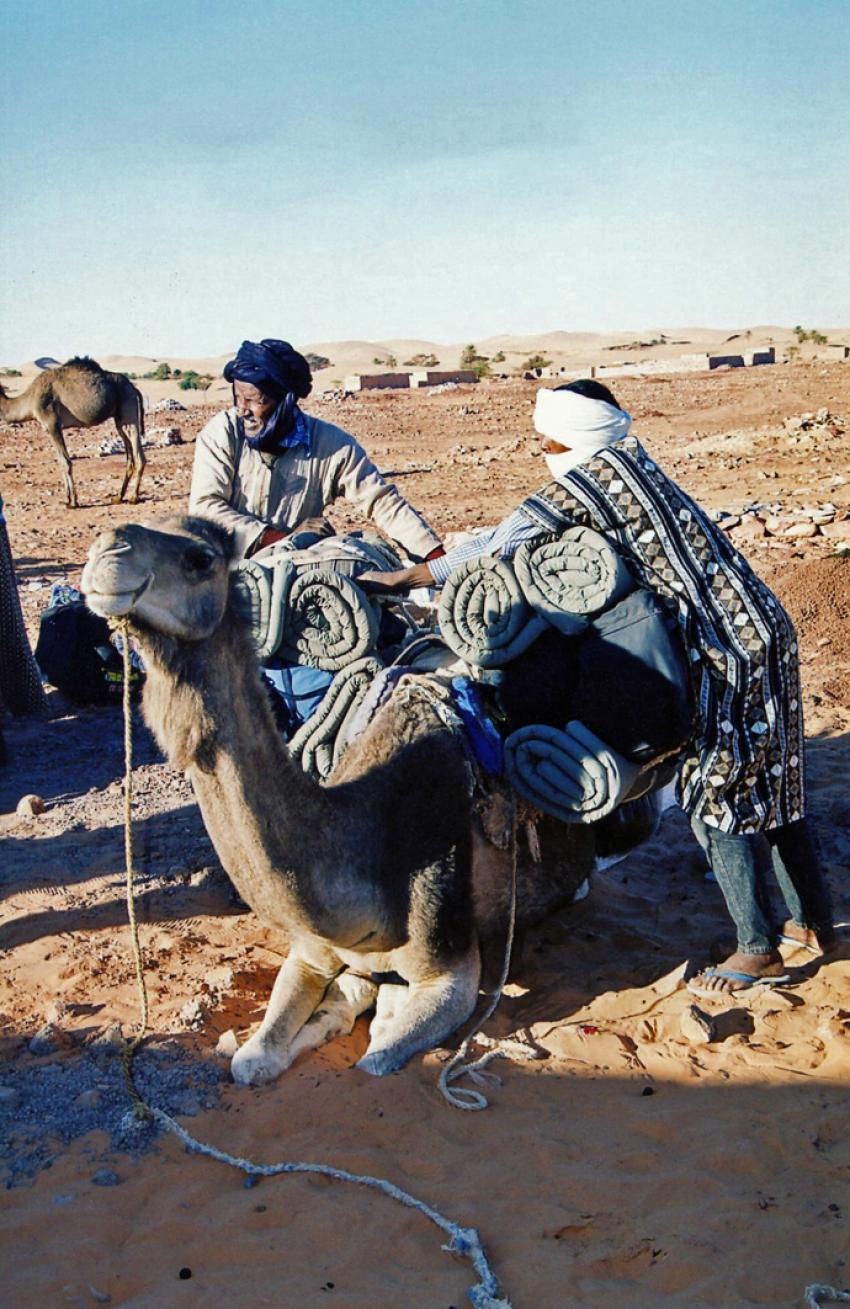 Sur les traces de Thodore Monod (Mauritanie)