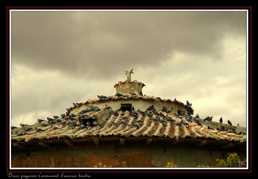 Le Tour du Portugal en 21 jours    (Page 2)