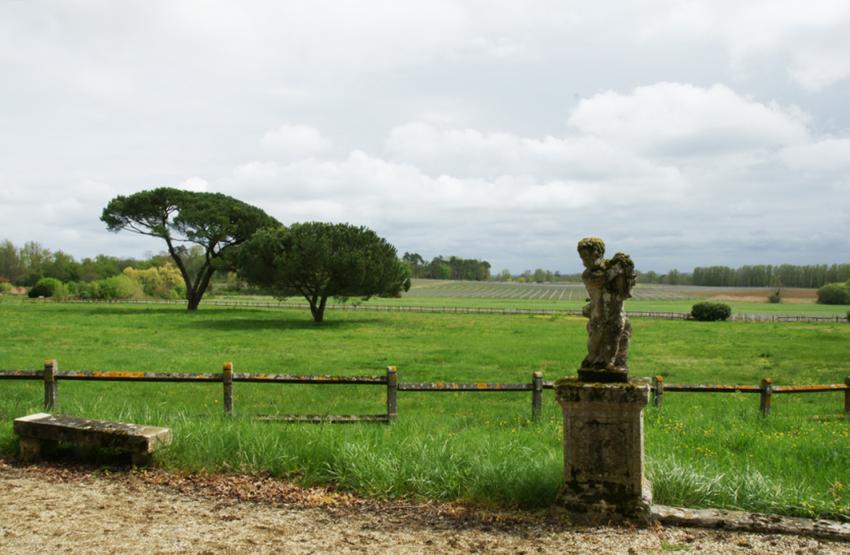 Chteaux de vin en Mdoc