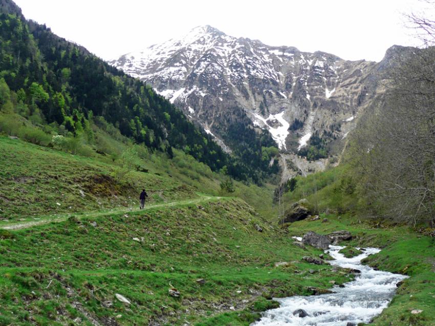 Printemps  Azet (Htes Pyrnes)