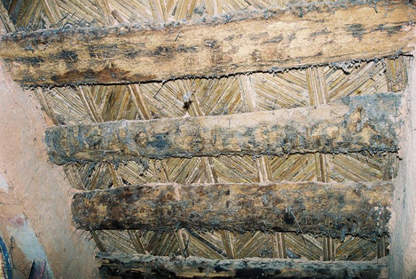 Sur les traces de Thodore Monod (Mauritanie)