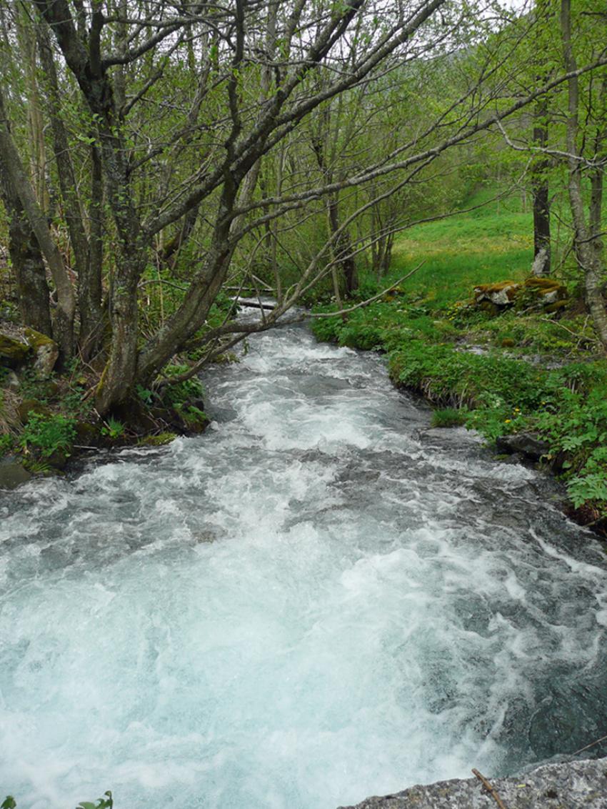 Printemps  Azet (Htes Pyrnes)