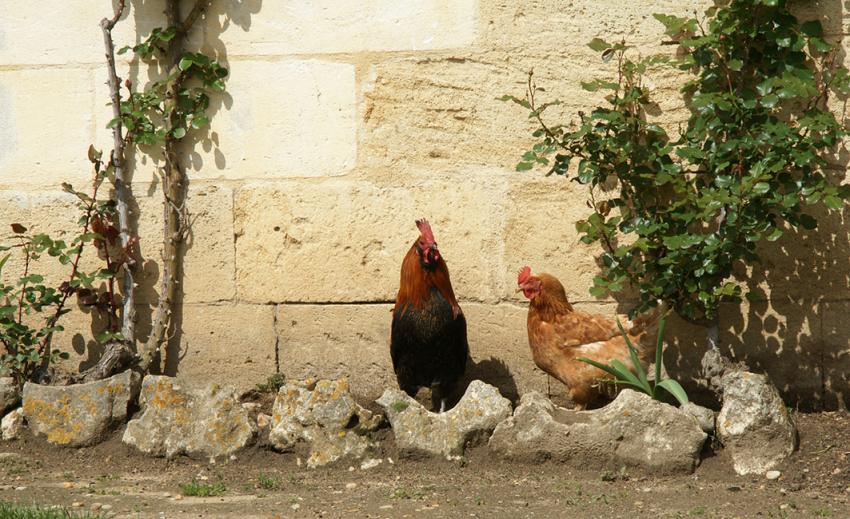 Le Roi et la courtisane