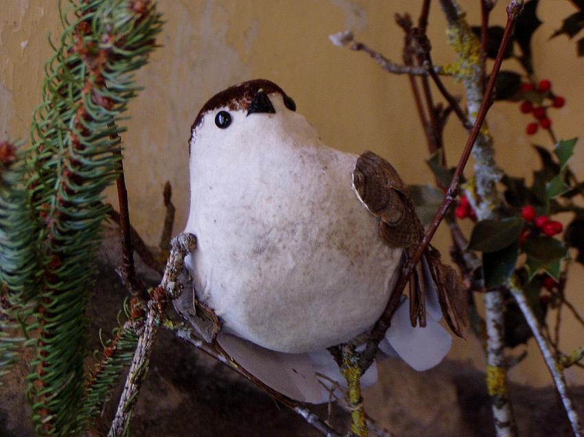 decor du villages d'angles