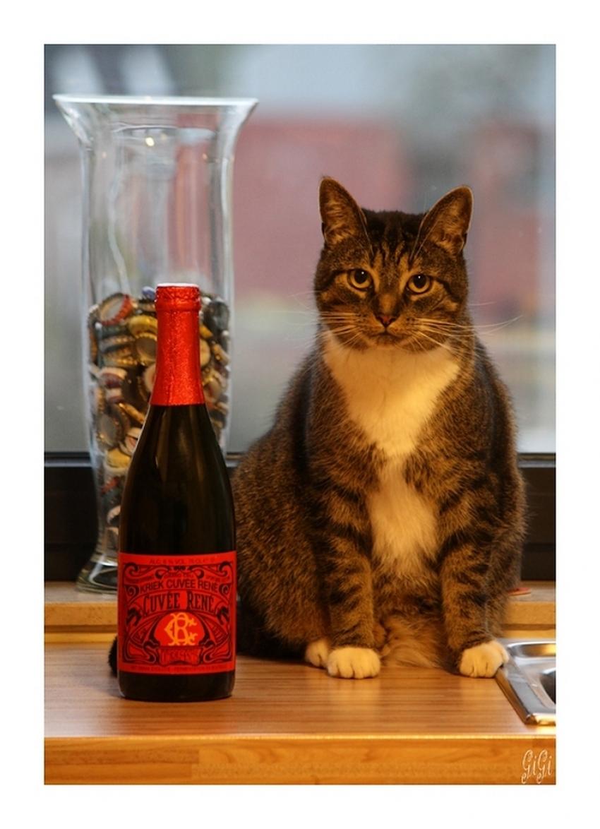 Mysty et la bouteille !!!!