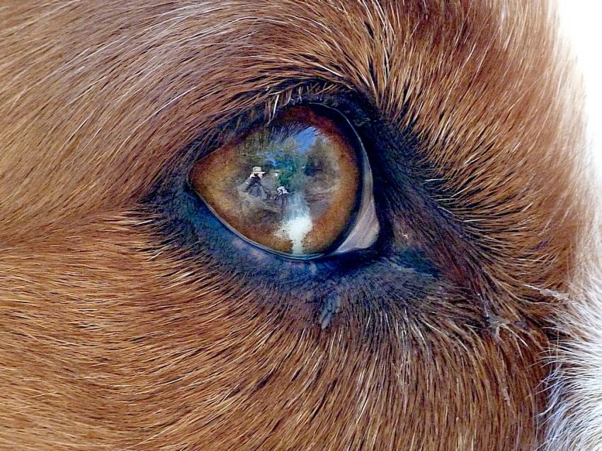 Un petit clin d'oeil de mon ami Vodka 