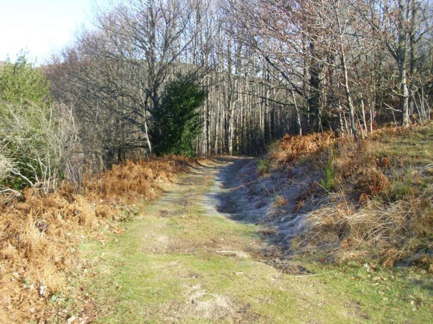 pique nique bois du lac de laouzac