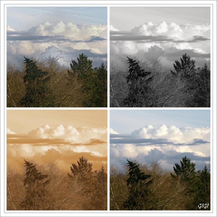 Dans les nuages.......