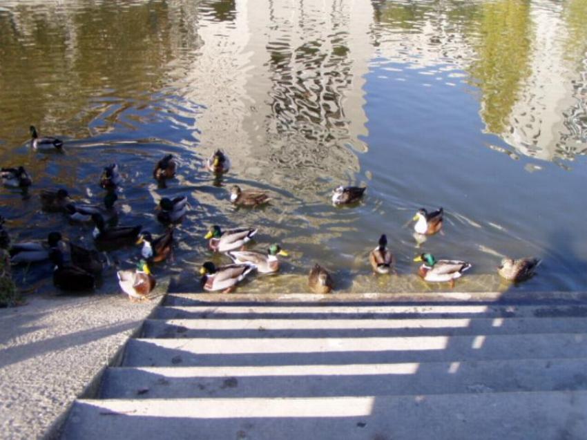 bord du lez montpellier