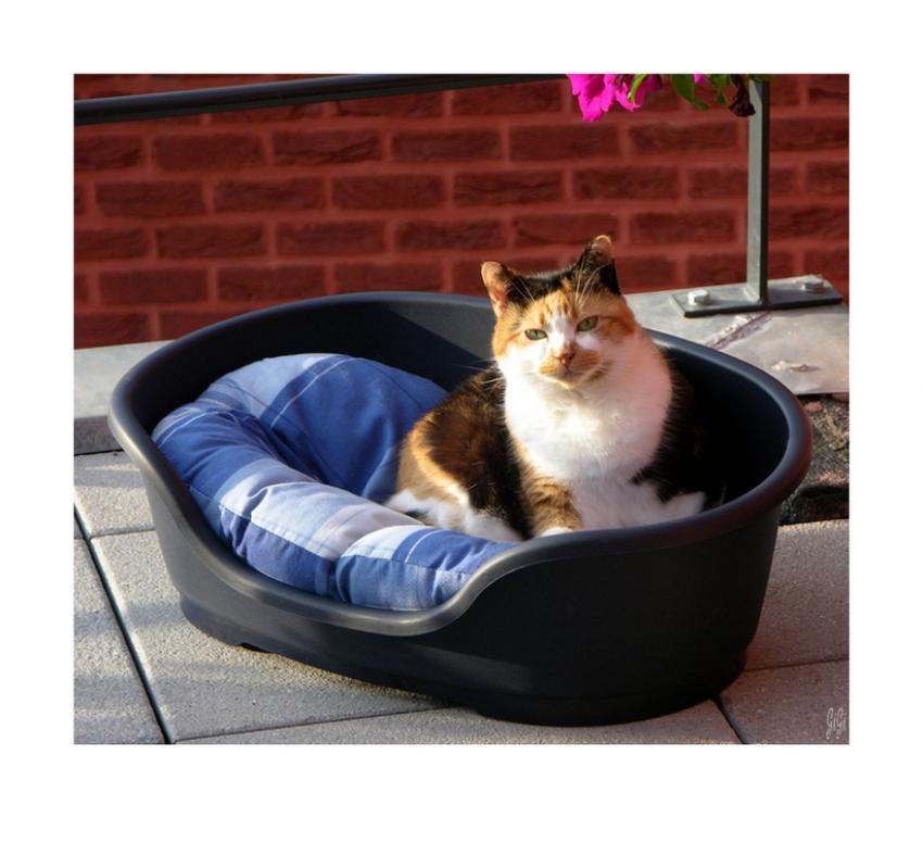 C'tait...............................