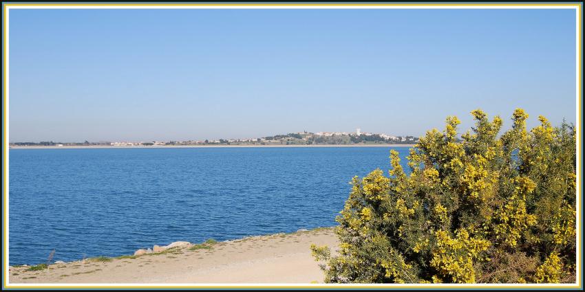 Villeneuve de la Raho (66)