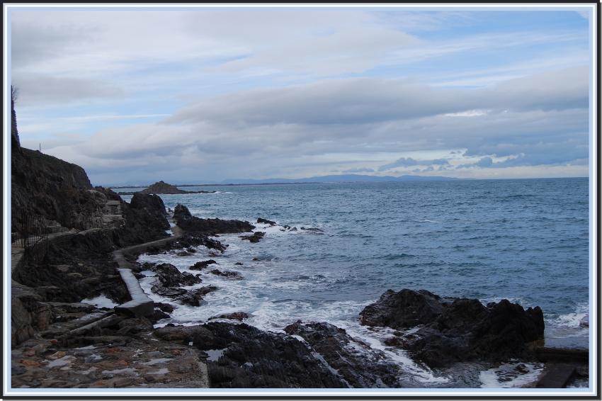 La Mditerrane  Collioure (66)