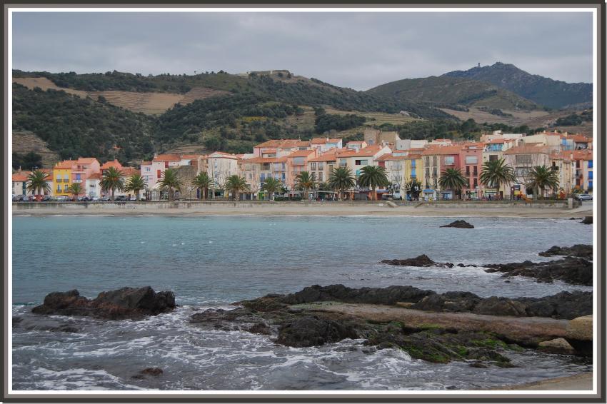 Collioure (66)