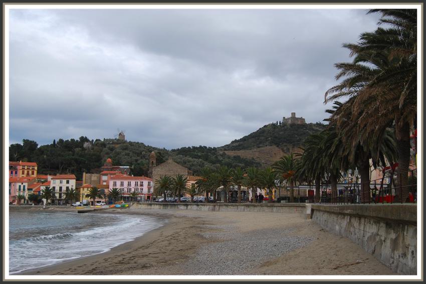 Plage  Collioure (66)