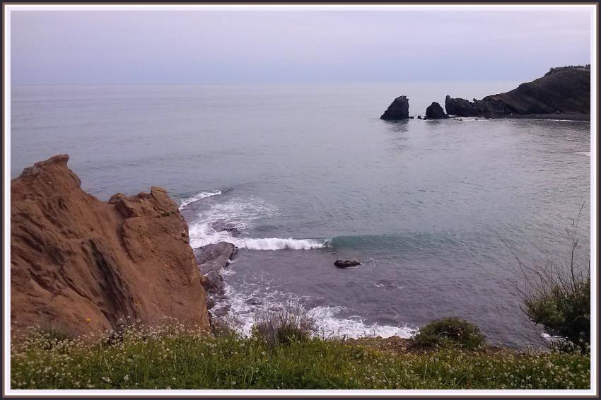 La Mditerrane au Cap d'Agde (34)